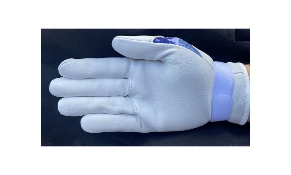Elite 2.0 Gloves