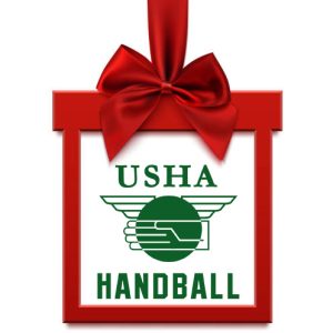 Holiday Combo Deal (8 Handballs and 2 pairs of glove)